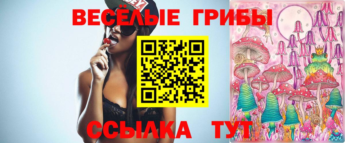 Галлюциногенные грибы GOLDEN TEACHER Елабуга